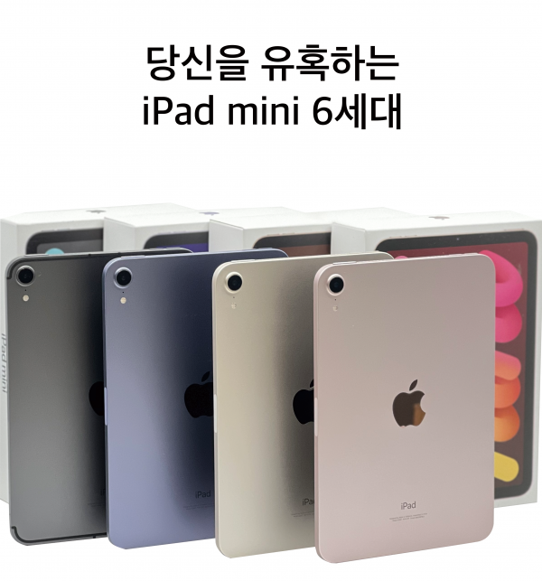 [정품] 아이패드 미니 6세대 iPad mini 6